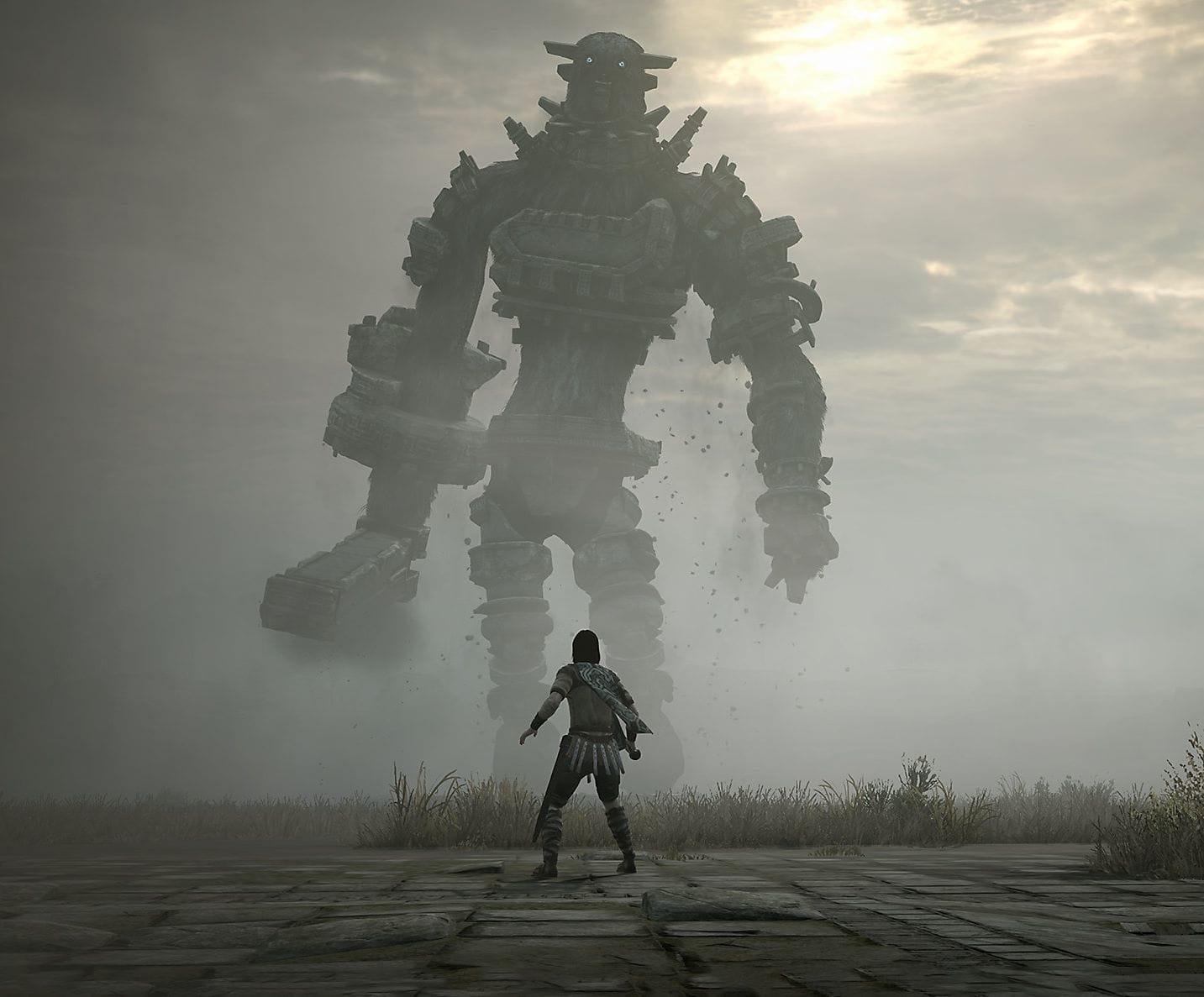 Shadow of the colossus не запускается pc windows 10